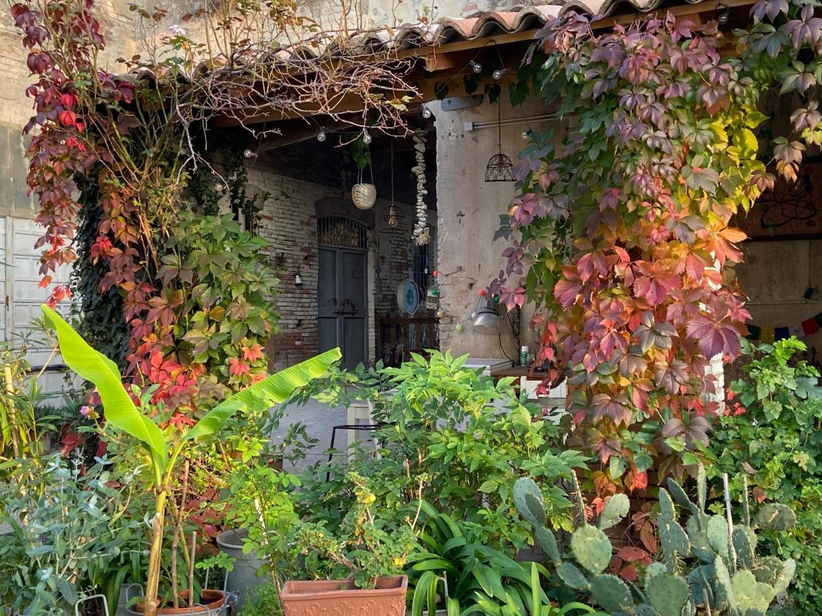B&B Ostria Vento Medesano Extérieur photo