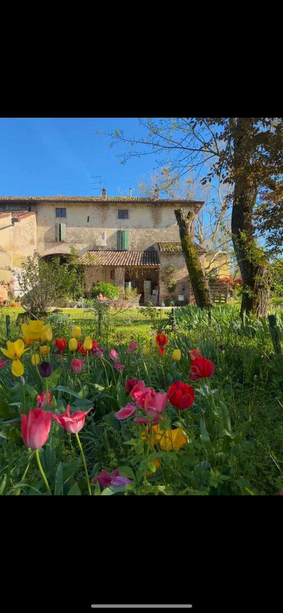 B&B Ostria Vento Medesano Extérieur photo